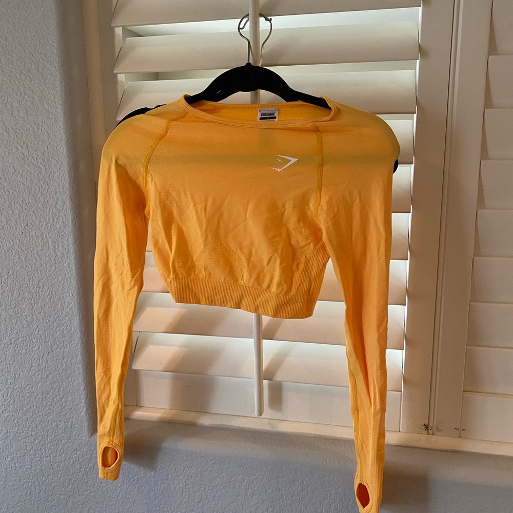 Gym shark cropped long sleeve top